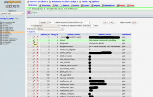 WordPress database phpMyAdmin interface