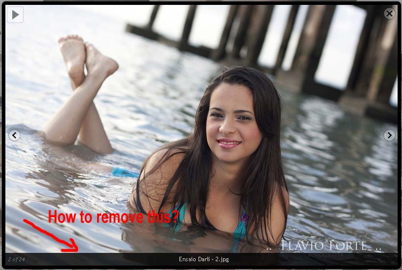 How to remove the name of images in plugin 4.0.