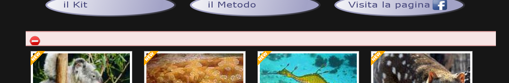 Error.png