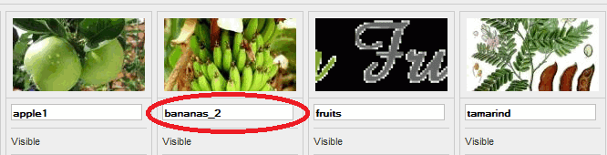 example.png