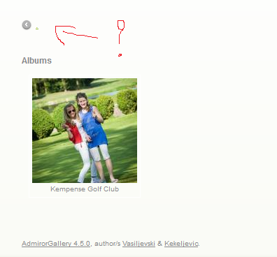 The Album.